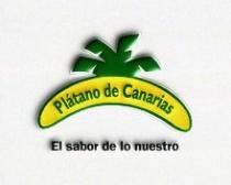 platanocanarias4.jpg