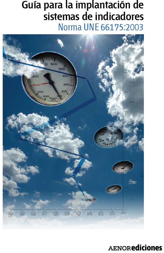 implantacion_sistemas_indicadores.JPG